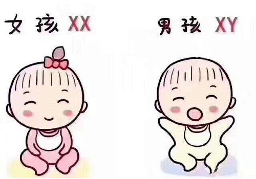 2022年香港三代試管嬰兒大概多少錢(qián)？