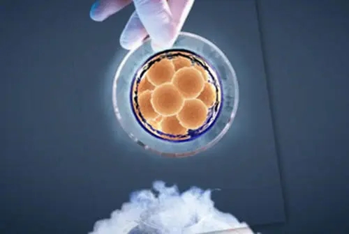 nic醫院試管多少錢？做試管嬰兒有哪些常見問題？