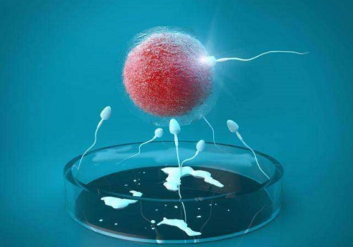 2021做試管嬰兒精子卵子不結合怎么辦？