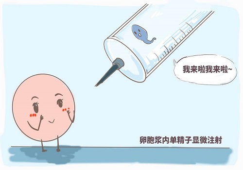 一二三代試管嬰兒價格區(qū)別大嗎