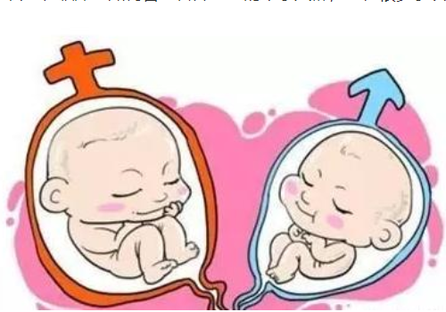 試管費用？