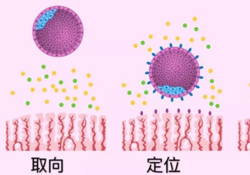 國內試管嬰兒十大醫院那家好？