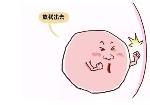 俄羅斯試管好的醫(yī)院優(yōu)勢？